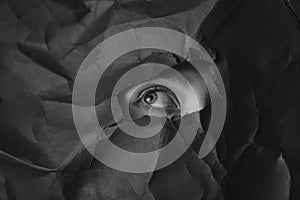 Woman`s eye in hole in black crumpled paper background, black and white concept photography for blog or poster