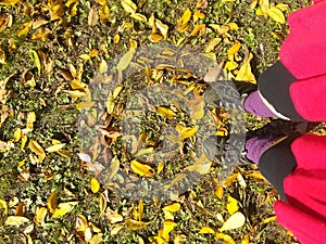 Woman`s Feet playing amoungst the golden fall leaves