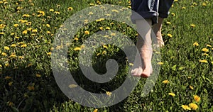 Woman's Feet Walking on the Green Summer Grass with yellow Flowers. Summer Time