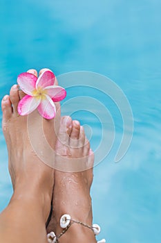 Woman`s female legs in blue swimming pool water with frangipani