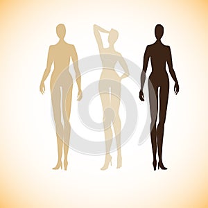 Woman`s figure posed silhouettes