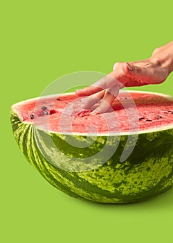 Woman`s fingers inside fresh juicy natural watermelon`s pulp.