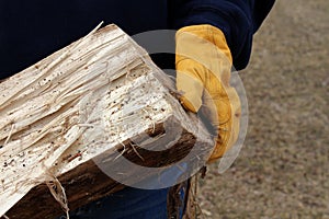 Woman's gloved hands carrying wood