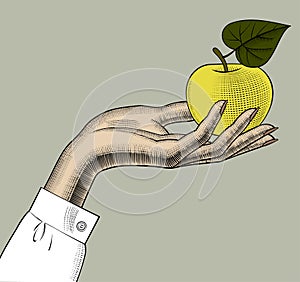 Woman`s hand with an apple