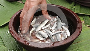 a woman\'s hand with a bangle washing and cleaning small pieces of raw sardine fishes