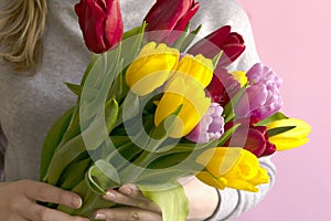 Woman's hand with a bouquet of yellow, red and purple tulips on pink background