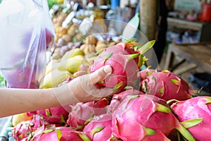 Woman`s hand buying dragon fruit, pitaya fruit at tropical fruit