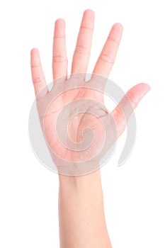 Woman`s hand is counting number 5 or Five isolated on white  background. The concept of hand symbols in counting numbers in order