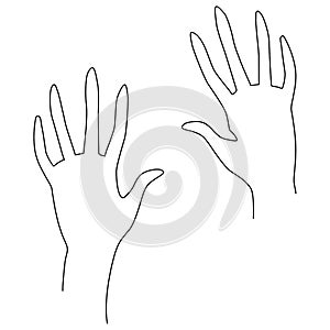 Woman`s hand gestures. One line drawing illustration. Grace and mannerism photo