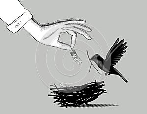 Woman`s hand hand puts a feather in a bird`s nest and a flying bird with a branch in its beak