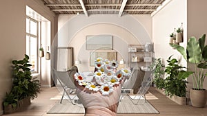 Woman\'s hand holding daisies, spring and flowers idea, over country rustic wooden bedroom with diy pallet bed, duvet and pillows,