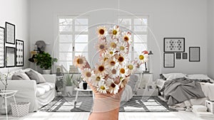 Woman's hand holding daisies, spring and flowers idea, over scandinavian living room with white sofa, big windows, pillows, doubl