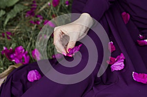 Woman`s hand holding elegant rose petal