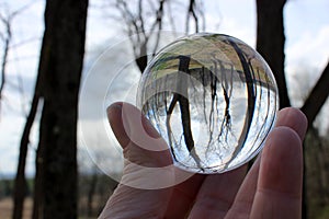 Woman`s hand holding glass ball with upside down image of bare copse of trees