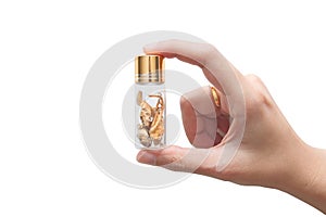 Woman`s hand holding glass bottle of golden yellow natural cordyceps sinensis, to use as medicine or supplementary food isolated