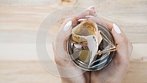 woman s hand holding glass jar with euro notes coins wooden backdrop