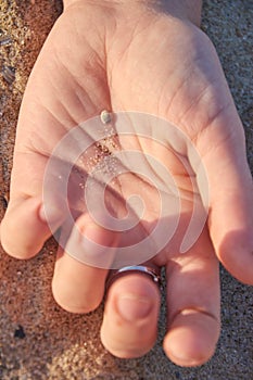 A woman s hand holding a shell by the sea on sea background