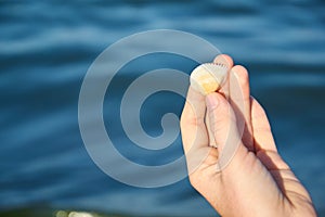 A woman s hand holding a shell by the sea on sea background