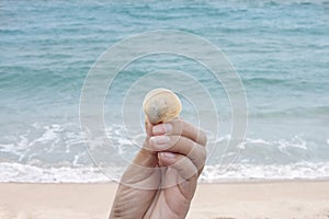 A woman`s hand holding a shell by the sea while traveling.