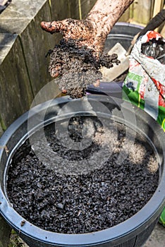 Woman`s hand holding soggy peat compost about to put in plant pot at her back garden in England,United Kingdom