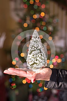 Woman`s hand holding a tiny Christmas tree