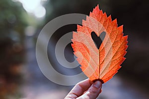 Woman`s hand holds an autumn orange leaf with a carved heart on the background of the road among the trees.Concept of love for