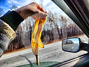 A woman& x27;s hand holds a banana skin near an open car window and throws it away. Garbage, environmental pollution