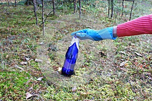 A woman`s hand holds a blue glass bottle. Hand in a rubber glove picks up a bottle. Volunteer in the forest or park. clean-up in t