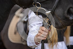 A woman`s hand holds the bridle of a horse