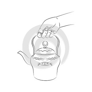 Woman\'s hand holds a teapot for brewing tea. Metal teapot close-up. Utensil for kitchen. Use for menu design in a restaurant