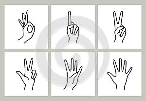 Woman`s hand icon collection line. Vector female hands of gestures -zero, one, two, three, four and five fingers.