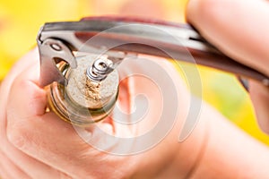 A woman`s hand opens a bottle of white wine with a corkscrew.. Top view.