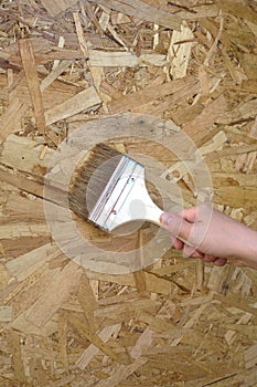 Woman's hand paints the wooden wall. Closeup photo