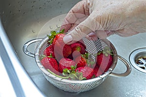 Woman's hand picking up washed strawberry from a small stainless steel colander