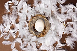 A woman\'s hand puts a large white egg in the nest. Fresh eco products