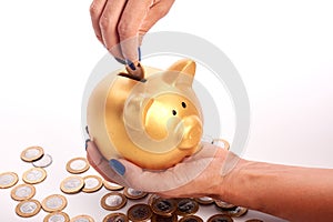 Woman's hand putting coins Brazilian money into piggy bank