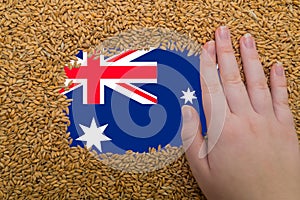 Woman's hand on a rectangular frame of ripe grains of wheat against the background of the flag of Australia