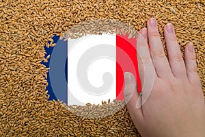 Woman's hand on a rectangular frame of ripe grains of wheat against the background of the flag of France