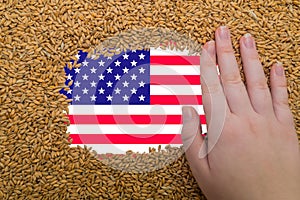 Woman's hand on a rectangular frame of ripe grains of wheat against the background of the flag of USA