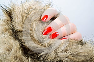 Woman's hand with red long nails