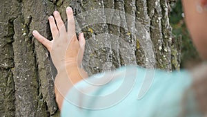 Woman`s hand resting on the bark of a tree, love for nature.