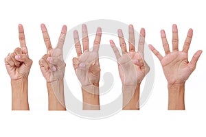 Woman`s hand show one, two, three, foe, five fingers up on white background