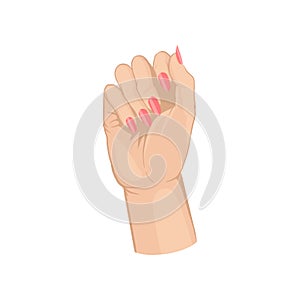 Woman s hand showing fresh manicure. Bright pink fingernails. Flat vector element for advertising poster or flyer of