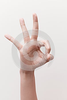 Woman`s hand showing sign ok, alright, well done sign. isolated on white background. Hand sign concept