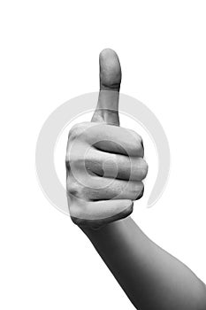 Woman`s hand showing thumbs up gesture. Black and white tone. isolated on white background. Hand sign concept