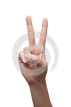 Woman`s hand showing victory gesture. Hand sign concept.  isolated on white background