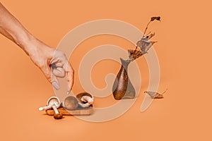 Woman's hand taking mushrooms plate with a vase and dry flowers on the empty orange background