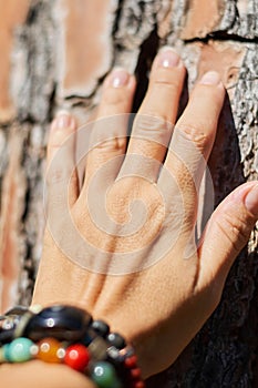 a woman& x27;s hand touches a tree