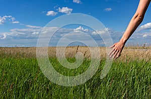 Woman`s hand touching the grass and blue sky on background