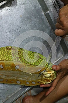 The woman& x27;s hand is using a sharp knife, stripping the jackfruit, the background, the steel tray.